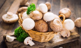 白蘑菇怎么炒菜 白蘑菇怎么炒
