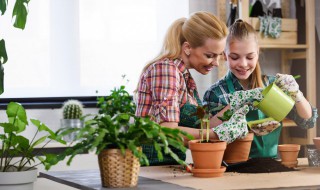 关于养植物心情的说说（自己养的植物心情说说）