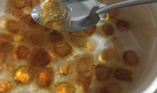 如何正确的泡发桃胶（如何快速发泡桃胶）