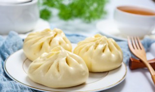 茄子辣椒肉包子的做法窍门 茄子辣椒肉包子的做法步骤