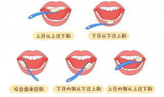 怎样才能正确的刷牙 怎样才能正确的刷牙视频