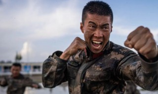 血性男儿是什么意思（男儿有血性）