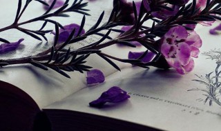 漠不关心什么意思（漠不关心什么意思解释词语）