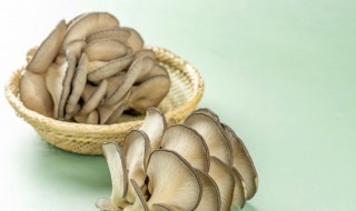 蘑菇青笋炒肉做法和步骤（青笋蘑菇炒肉片的做法）