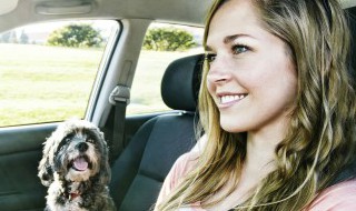 科目二成绩怎么查 科目二成绩怎么查呢