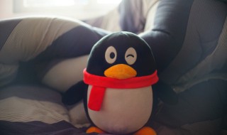 q龄手机怎么查（q龄手机怎么查别人）