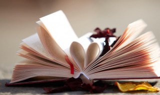 无懈可击什么意思 无懈可击什么意思啊