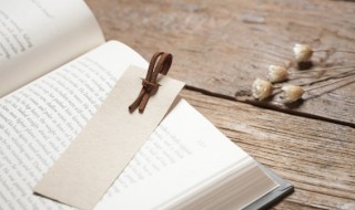 光辉灿烂什么意思 灿烂的金辉是什么意思