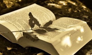 始作俑者什么意思（始作俑者什么意思哦）