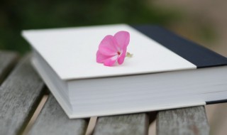 三三两两什么意思 三两三是什么意思