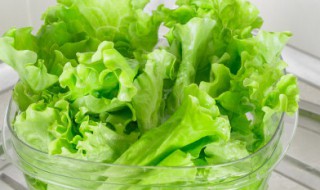 蚝油生菜的制作过程 蚝油生菜制作步骤有哪些