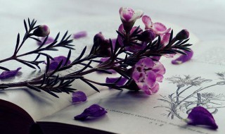 随感是什么意思（随感是什么意思啊）