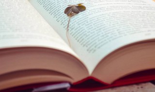 戒心是什么意思 宜之戒心是什么意思