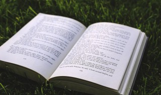 出乎意料什么意思 出乎意料解释