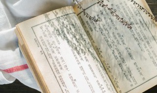 氺怎么读 怎么读氺