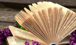 物尽其用什么意思（物尽其用意思是什么）