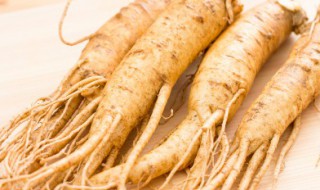 人参花茶的做法和食用方法 人参花茶的做法与食用方法