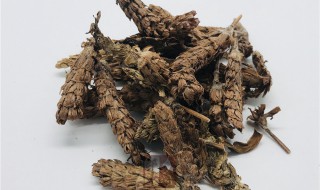 夏枯草的食用方法 夏枯草如何食用方法