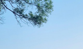 慢条斯理什么意思 慢条斯理是啥意思