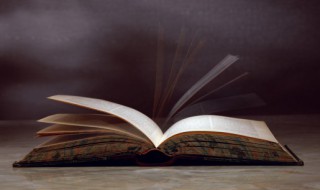 弹子是什么意思 弹子是什么意思网络用语