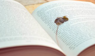 至高无上什么意思 荣誉至高无上什么意思