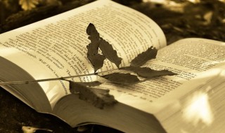 穷追不舍什么意思（穷追不舍什么意思最佳答案）