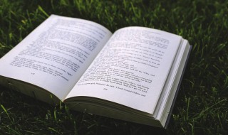 知难而退什么意思 知难而退怎么理解