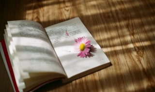 出人头地什么意思（出人头地什么意思解释）