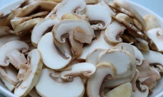 口蘑的两款好吃的做法介绍 口蘑怎样做最好吃