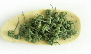 三七花的食用方法 三七花的食用方法及禁忌