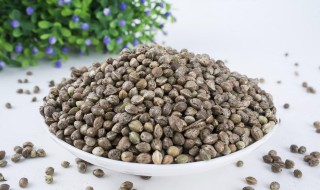 火麻仁的食用方法 火麻仁的食用方法及禁忌