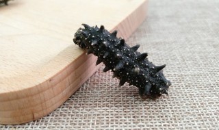 葱烧海参做法步骤（葱烧海参怎样做）