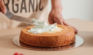 乳酪蛋糕胚的做法 乳酪蛋糕胚的做法大全