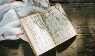 当仁不让什么意思（圣人当仁不让什么意思）