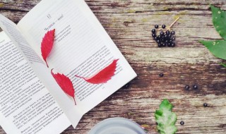 无影无踪什么意思 无影无踪什么意思和造句