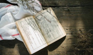 比照是什么意思（比照是什么意思?）