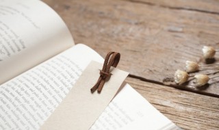 心安理得什么意思（心安理得的意思是什么意思是什么）