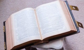 辟头是什么意思 辟头的辟组词