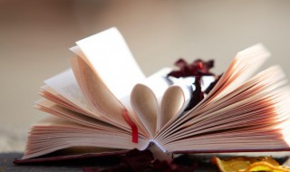 君上是什么意思（有翡君上是什么意思）