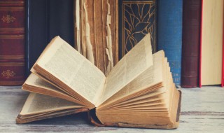 七日来复是什么意思（七日来复不停留是什么意思）