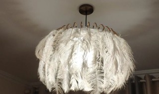 羽毛灯脏了怎么清洗（羽毛灯罩脏了怎么清洗）