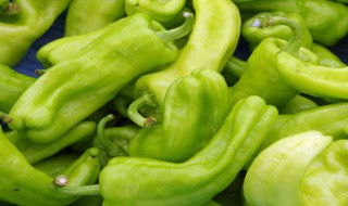 虎皮辣子的腌制方法 虎皮辣子的腌制方法和配料