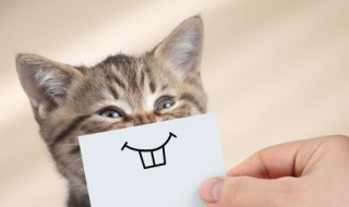 关于微笑的排比句（关于微笑的排比句开头）