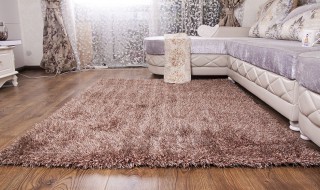 房间地毯怎么清洗（房间地毯清洗率如何计算）