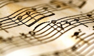 一腔诗意喂了狗歌词（一腔诗意喂了狗歌词改编）