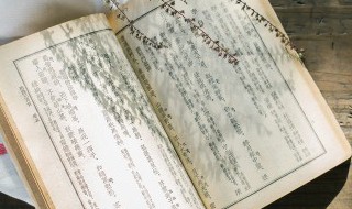 薄伽丘怎么读 薄伽丘怎么读拼音