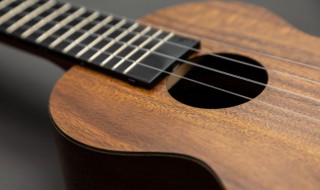 明知故犯歌词（明知故犯歌词意思）