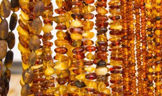 琥珀怎么读 琥珀怎么读拼音组词