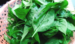 辣椒叶的腌制方法 辣椒叶的腌制方法视频