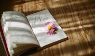 怦怎么读 怦然怎么读